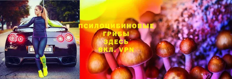 что такое наркотик  Белово  Галлюциногенные грибы Psilocybine cubensis 